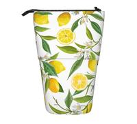 Luckily&Day Fresh Tropical Lemons Print Vertical Retractable Pouch Novelty Standing Bag Pop Up Bag Unique Telescopic Pouch for Office Makeup, Black, One Size, Telescopic
