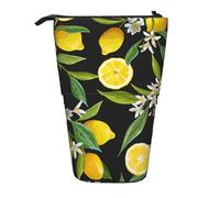 Luckily&Day Yellow Lemon Print Vertical Retractable Pouch Novelty Standing Bag Pop Up Bag Unique Telescopic Pouch for Office Makeup, Black, One Size, Telescopic