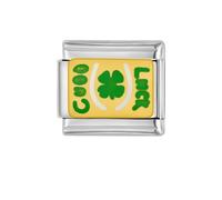 Lucky 4 Leaf Clover 9mm Stainless Steel Italian Charm Yellow Green Enamel Link Charms Compatible With Nomination Bracelet Good Luck Horseshoe DIY Accessories Jewelry