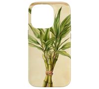Lucky Bamboo Vintage Scientific Illustration Plant Case for iPhone 14 Pro