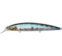 LUCKY CRAFT Surf Pointer 115MR Saltwater Fishing Lures for Halibut and Stripped Bass, Long Casting Jerkbait, Sinking Surf Fishing Gear, Fish Accessories for Tackle Box (722 Zebra MS Ghost Minnow)
