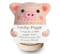 Lucky Crochet Pig with Lucky Coin - Wealth & Positivity Gifts for Women, Pig-Themed Presents for Birthday/New Home,Exam Gifts,Pocket Hug,Good Luck