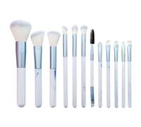 Lucky Interests 12 Pcs Sky Blue Professional Makeup Brushes Set, Travel Makeup Brushes Kit Premium Synthetic Foundation Eyeshadow Eyebrow Concealer Face Powder Blending Brushes with Cosmetics Bag