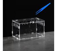 Lucky Interests Acrylic Reptile Cage, 9.8x5.9x5.9 Inch Reptile Terrarium | 360 Degree Transparent Tank Buckle Lock Box Case for Insect Spider Cricket Snail Hermit Crab Gecko Frog with Tong