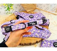 Lucky Lavender Daisies Pet Pooch Boutique Dog Collar, Fabric, Adjustable, Padded, Lavender, Daisy Pattern. (Extra Small 22-30cm / 8.7-11.8inch. 1.5cm wide)