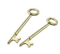 Lucky Line Skeleton House Key, 2 Pack, Notch Tip (87102), 2 Count
