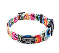 Lucky Love Dog - Adjustable Dog Collar with Easy Click Buckle for Medium, Durable, & Comfortable for Male & Female Dogs, Pet Collar for Puppies & Adult Dogs - Ladybird, Medium