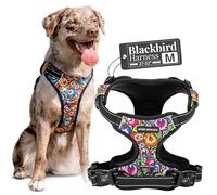 Lucky Love Dog No Pull Dog Harness, Adjustable and Easy to Walk, Cute Patterned Harness for Medium Male & Female Dogs - Blackbird, Medium