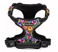 Lucky Love Dog No Pull Dog Harness, Adjustable and Easy to Walk, Cute Patterned Harness for Small Male & Female Dogs - Blackbird, XS