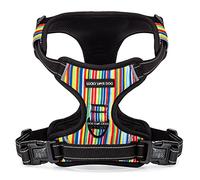 Lucky Love Dog No Pull Dog Harness, Adjustable and Easy to Walk, Cute Patterned Harness for Small Medium Large Male & Female Dogs - Hippie, Large