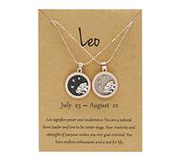 Lucky Necklace Gold Plated Star Zodiac Necklace Jewelry Zodiac Gift Men Women Girls Birthday Gifts Cat Locket Necklace (RG7, One Size)