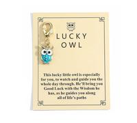 Lucky Owl Keychain with Encouragement Card, Unique Thank You Gift, Funny Friendship Keyring, Women’s Birthday and Congratulations Gifts, Perfect for Friend, Teacher (Blue)