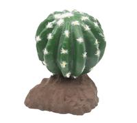 Lucky Reptile Ball Cactus
