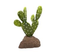 Lucky Reptile Beaver Tail Cactus