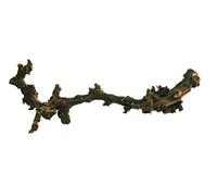 Lucky Reptile DLD-L Dark Grapevine, Large