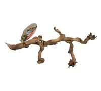 Lucky Reptile DRL-K Sand-Blasted Grape Vine, Small