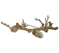 Lucky Reptile DRL-L Sand-Blasted Grape Vine, Large