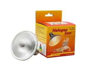 Lucky Reptile Halogen Sun-100 W heat lamp for E27 sockets-halogen lamp for reptile terrarium lamp with daylight spectrum heat lamp dimmable-terrarium accessory 63403, minimum distance: >50cm