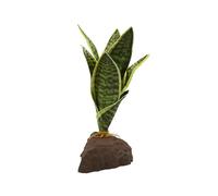 Lucky Reptile Scape it Easy Sanseviera 20 cm Decorative Plant for Terrariums