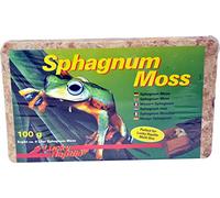 Lucky Reptile SM-100 Spaghnum Moss Brick, 100 g