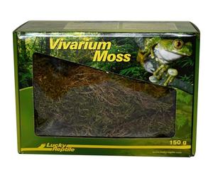 Lucky Reptile VM-150 Dry Vivarium Moss, 150 g