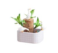 Lucky Wood Plant with Panda Statue, Brazilian Hydroponic Plant, Mini Brazilian Wood Set Lucky Tree, Brazil Planter Decorations Pots (White-Duck)