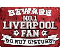 LuckyLinde Football Fan Decorative Sign, 30 x 20 cm, Sheet Steel, Wall Mount, Contemporary Style, Liverpool Fan - Funny Football Saying