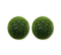 LuckyOpt 2 x Green Live Algae Balls, Natural Algae Balls, Aquarium Decorated with Green Algae Balls, Aquarium Decorated with Vivid Algae Balls (L)