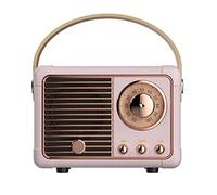 Luckyu Retro Bluetooth Speaker, Vintage Speaker with Old Fashioned Classic Style,Loud Volume, Bluetooth 5.0 Wireless Connection, Support TF Card, U Disk and AUX Audio Input (Pink)
