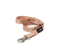 Lucy & Co. 5 Foot Designer Dog Leash for Small, Medium or Big Dogs or Puppies Puppy - Pet Accessories & Supplies- Small-Orange Cream Pumpkin