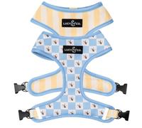 Lucy & Co. Bumbling Around Reversible Dog Harness, Adjustable Comfort Fit with Dual Leash Attachments, Large