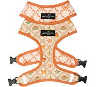 Lucy & Co. Cute Reversible Dog Harness Walking Halter - Best Designer Pet Harnesses for XS - XL Dogs - Padded Adjustable Vest for Easy Walking-Medium-Orange Cream Pumpkin