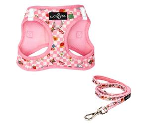 Lucy & Co. Cutie Patootie Step-in Cat Harness & Leash Bundle - Reflective, Breathable & Adjustable Harness for Cats, Kittens & Small Dogs, Lightweight & Secure and Dual Leash Clips - Large