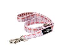 Lucy & Co. Designer Dog Leash - Pet Accessories - Thick Dog Leash - Padded Handle for Comfort - Ballet Bows - 5 Foot (White & Pink Bows, Small)