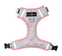 Lucy & Co. Ditsy Daydream No-Pull Dog Harness, Adjustable Front Clip Harness with Comfort Padding, X-Small