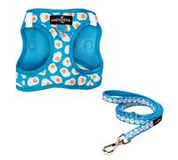 Lucy & Co. Eggcelent Step-in Cat Harness & Leash Bundle - Reflective, Breathable & Adjustable Harness for Cats, Kittens & Small Dogs, Lightweight & Secure and Dual Leash Clips - Medium