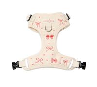 Lucy & Co. Ever So Sweet No-Pull Dog Harness, Adjustable Front Clip Harness with Comfort Padding, X-Small