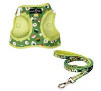Lucy & Co. How I Roll Step-in Cat Harness & Leash Bundle - Reflective, Breathable & Adjustable Harness for Cats, Kittens & Small Dogs, Lightweight & Secure and Dual Leash Clips - Large