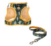 Lucy & Co. Looking Sharp Step-in Cat Harness & Leash Bundle - Reflective, Breathable & Adjustable Harness for Cats, Kittens & Small Dogs, Lightweight & Secure and Dual Leash Clips - Small