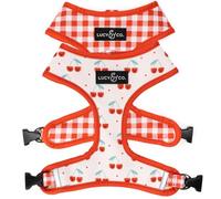 Lucy & Co. Reversible Dog Harness - Water-Repellent Neoprene, Dual-Print Design, Easy Swap Style, Adjustable Comfort Fit - Cheery Cherries Reversible Harness - X-Large