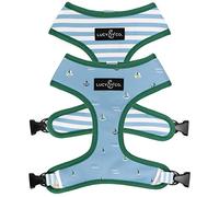 Lucy & Co. Set Sail Reversible Harness, Walking Halter - Best Designer Pet Harnesses for Large Dogs - Padded Adjustable Vest for Easy Walking, X-Large, Blue & White Stripes & Sailboats