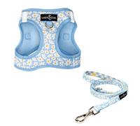 Lucy & Co. Simply Splendid Step-in Cat Harness & Leash Bundle - Reflective, Breathable & Adjustable Harness for Cats, Kittens & Small Dogs, Lightweight & Secure and Dual Leash Clips - X-Small