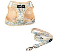 Lucy & Co. Sunshine and Daffodils Step-in Cat Harness and Leash Set Bundle, Reflective, Breathable & Adjustable Harness for Cats, Kittens & Small Dogs, Lightweight & Secure - Medium