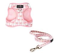 Lucy & Co. Take a Bow Step-in Cat Harness & Leash Bundle - Reflective, Breathable & Adjustable Harness for Cats, Kittens & Small Dogs, Lightweight & Secure and Dual Leash Clips - Large