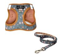 Lucy & Co. Take a Hike Step-in Cat Harness & Leash Bundle - Reflective, Breathable & Adjustable Harness for Cats, Kittens & Small Dogs, Lightweight & Secure and Dual Leash Clips - Medium
