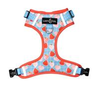 Lucy & Co. The Fresh Berries No-Pull Dog Harness - Size Medium - Vest to Stop Pulling & Walk Easy - Comfortable Leash Training Product w/Adjustable Chest & Neck Straps