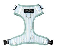 Lucy & Co. The Match Point No-Pull Dog Harness - Size Medium - Vest to Stop Pulling & Walk Easy - Comfortable Leash Training Product w/Adjustable Chest & Neck Straps