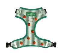 Lucy & Co. Tomato, Tomahto Embroidered No-Pull Dog Harness, Adjustable Front Clip Harness with Garden Design, X-Small