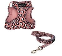Lucy & Co. Wild Side Step-in Cat Harness & Leash Bundle - Reflective, Breathable & Adjustable Harness for Cats, Kittens & Small Dogs, Lightweight & Secure and Dual Leash Clips - Medium