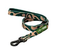 Lucy & Co. x Parks Project Geyser Dog Leash, Durable Matching Dog Lead with Heavy Duty Hardware, Small